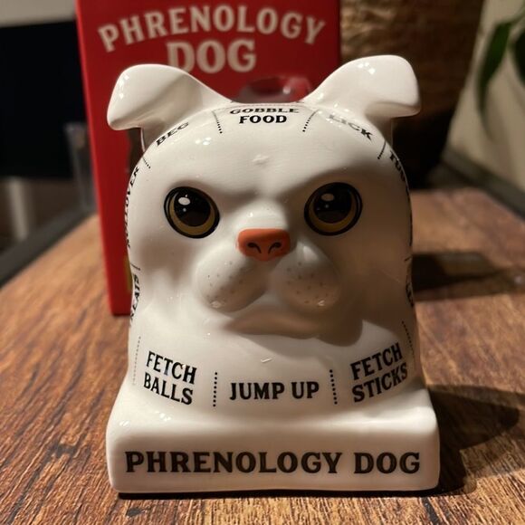 Dog Phrenology figurine  - Picture 7 of 7